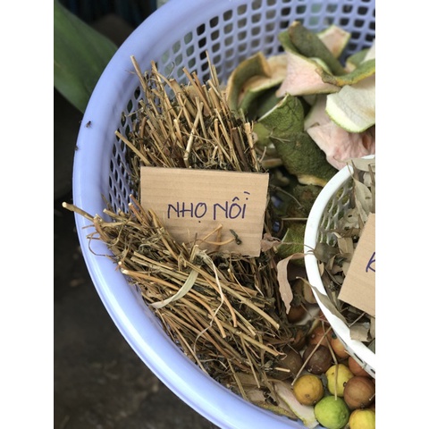 Dầu Gội Thảo Dược Bưởi Bồ Kết Hương Nhu Cô Đặc (1000ml)