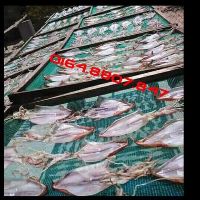 Combo  khach MỰC  L4