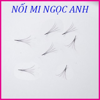 Mi fan 4D dày 0.07 (1 hộp 1050 fan)