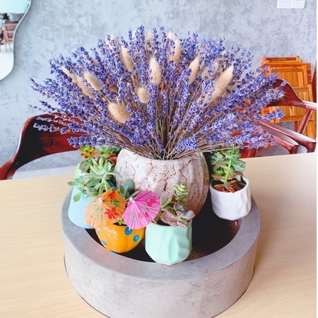 Bó 100 cành hoa Lavender khô thơm phòng, trang trí nhà cửa, nội thất
