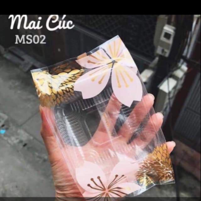 100 khay túi 150g mai cúc
