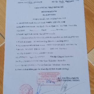 Dầu húng chanh minion