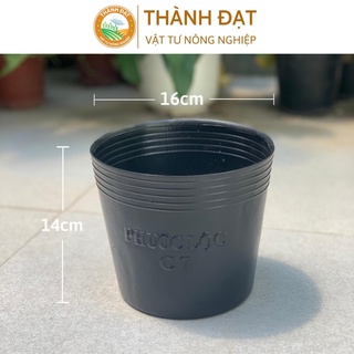 Bầu ươm cây cứng C7, chậu nhựa đen trồng cây, ươm cây hàng dày