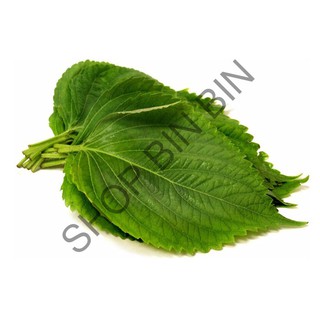 Hạt giống lá mè vừng Hàn Quốc- 0.5gr