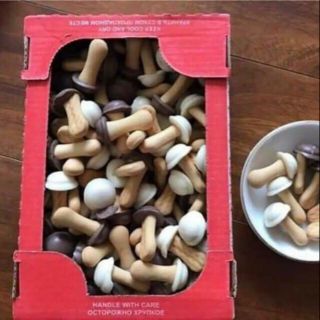 Bánh nấm socola Nga hộp 300g