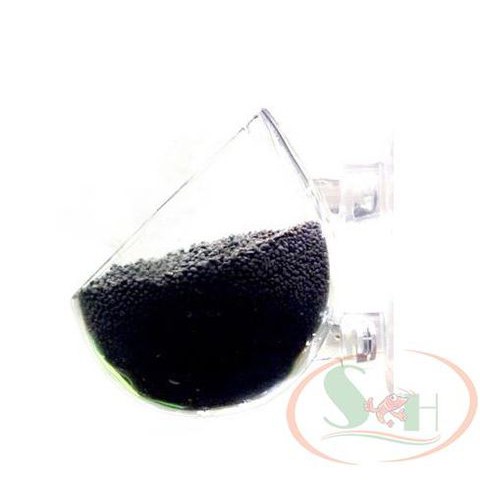 Cốc Thủy Tinh Trồng Cây Polka