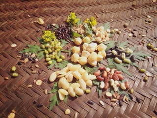 BỘT ĐẬU MẦM HỮU CƠ