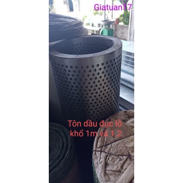 (Tấm 2m và 3m,4m,5m) Tôn dầu đục lỗ, lưới ruồi lỗ 6 li dày 4.5zem