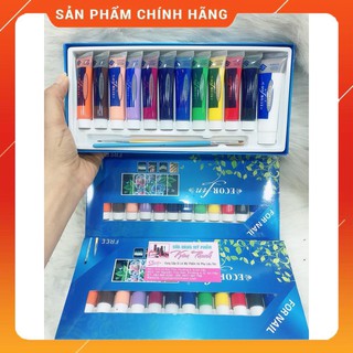 Set 12 bột màu vẽ Ecorfin tặng cọ bản và cọ siêu nét