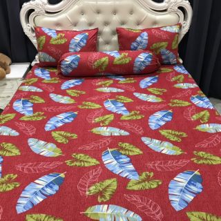 Bộ Drap Thun Hàn Quốc mát lạnh 4 món (Inbox nhiều mẫu lựa chọn)