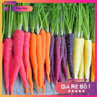 Hạt giống cà rốt nhiều màu ( 0.2 gr ) LUCKY.VN