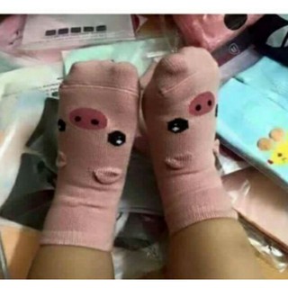 5  đôi tất Poli Kid