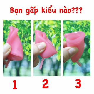 Cốc Nguyệt San Si-Bell