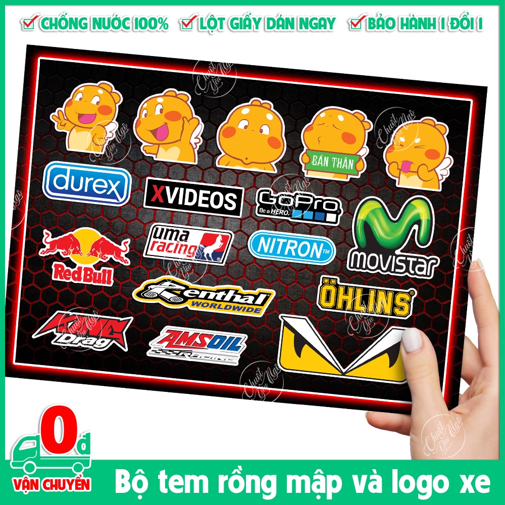 Bộ hình dán sticker decal LOGO tem xe và RỒNG MẬP bán thân dễ thương chống nước chất lượng cao trang trí xe máy, laptop