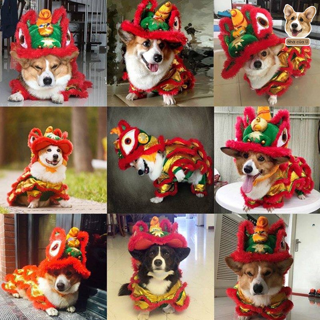 Áo Tết Chó Mèo - Áo Múa Lân Hoá Trang Cho Thú Cưng