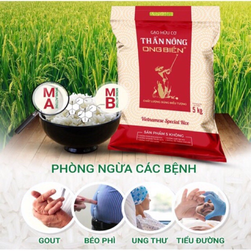 Gạo Hữu Cơ Ong Biển / 5kg