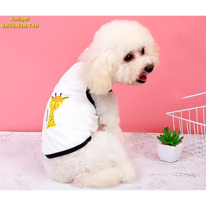 [MUA NHIỀU GIẢM GIÁ] Áo 3 Lỗ Cho Chó Mèo Hình Thú Trắng Viền Đen Cực Cute thú cưng thấy dễ chịu, mát mẻ hơn SP005209