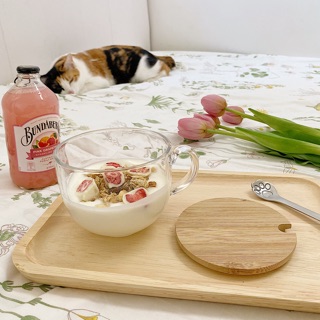 Set Ly thuỷ tinh + nắp gỗ + muỗng mèo