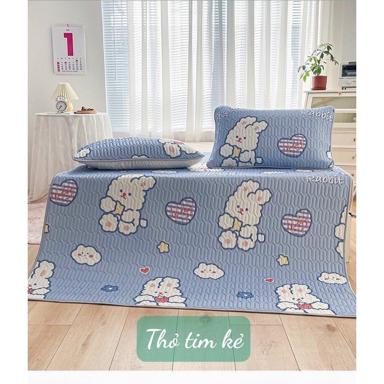 Chiếu điều hòa cao su non 5D Tencel,kích thước m6/m8/2m2, mẫu thỏ tim kẻ