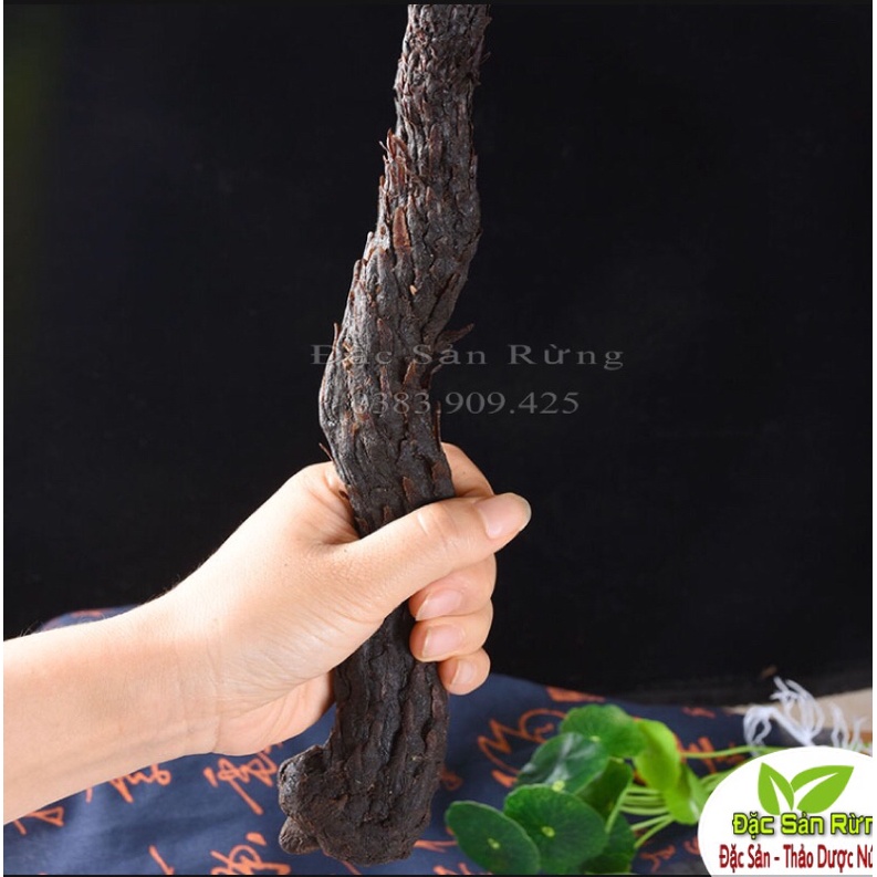 Nhục Thung Dung Khô  - Tăng S/Lý