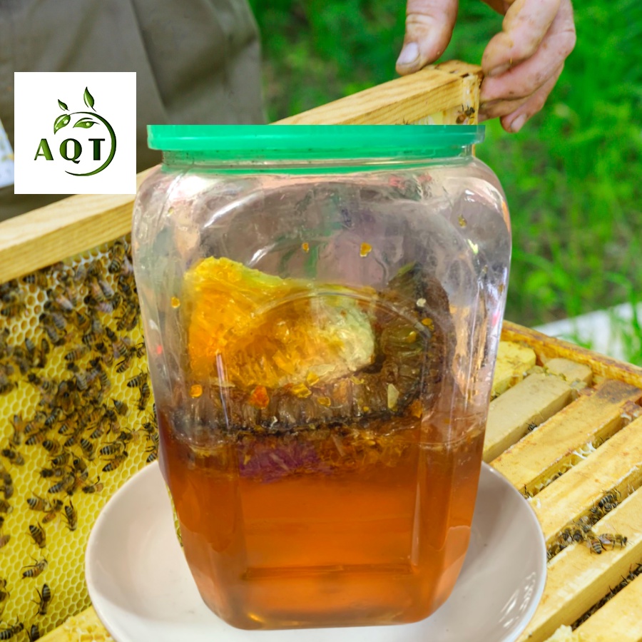 Mật Ong Nguyên Sáp Bánh Tổ, Sáp Ong Rừng - Sáp Tổ Ong Tươi Thiên Nhiên, Hàng Chuẩn Xịn 100%