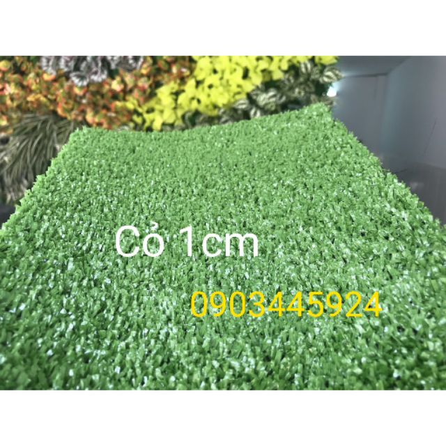 Thảm Cỏ Nhân Tạo Sân Vườn Ngọn Cao 1cm