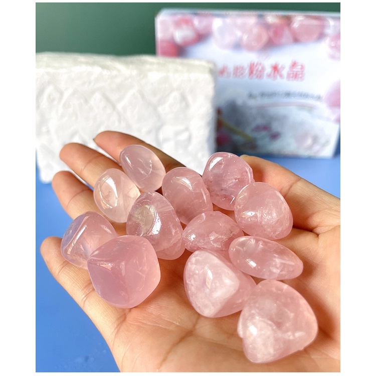 Đồ Chơi Đào Kho Báu Trò Khảo Cổ Học Tìm Hóa Thạch Xương Khủng Long T Rex Vàng Đá Quý Kim Cương Treasure X Gems Stone Rẻ