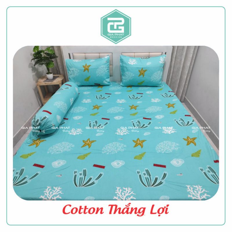 Ga lẻ 1m6 x 2m nệm cao 17-25cm Cotton Thắng Lợi 100% chuẩn logo( không kèm áo gối) được chọn mẫu