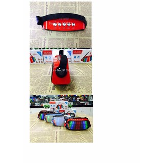 Loa Bluetooth WS-1518BT