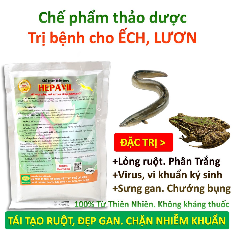 Chế phẩm thảo dược HEPAVIL - Chặn đứng bệnh rỗng ruột, phân trắng, gan, tụy trên Tôm, Cá, Cá Koi, Lươn