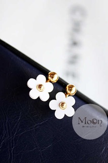 Khuyên hoa daisy