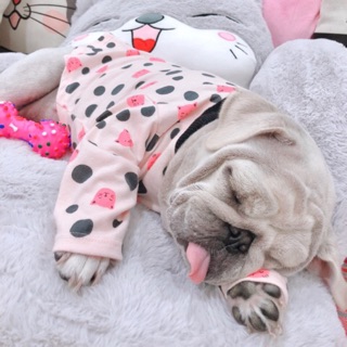 Áo tay dài mèo hồng chấm bi,Áo thun tay dài chó mèo, Quần áo chó mèo,Quần áo thú cưng, áo tay dài chó mèo