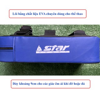 Đích đỡ đích đấm tập võ thuật Vstar DV110 (1 cái)
