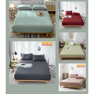 Sét ga gối cotton Tici phong cách hàn Quốc ( không kèm ruột )