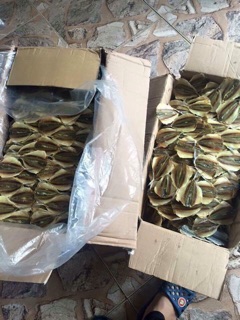 0.5kg Cá chỉ vàng (loại ngon)