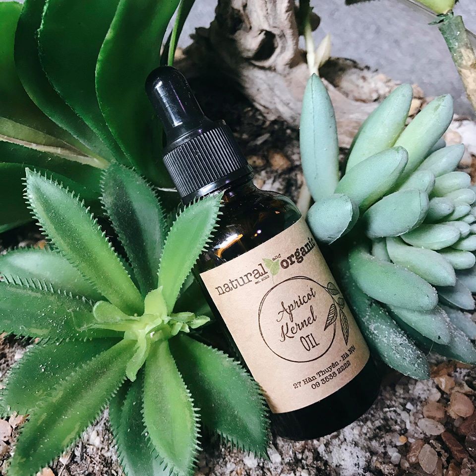 Dầu HẠT MƠ – APRICOT KERNEL OIL