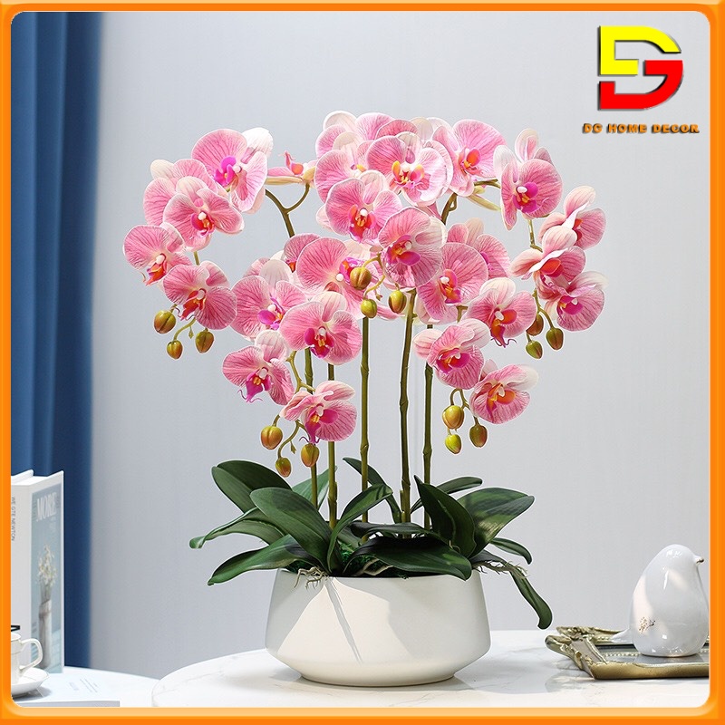 Bình Hoa Lan Hồ Điệp Cao Su Y Thật Hoa Để Bàn Cao 60cm Trang Trí Phòng Khách Quầy Lễ Tân DG-125