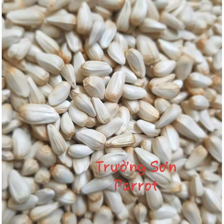 500g/1000g hạt Kham (hạt hoa Rum) cho chim vẹt, sóc, chuột, hamster...