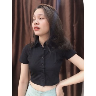 áo croptop nút cổ polo 10359