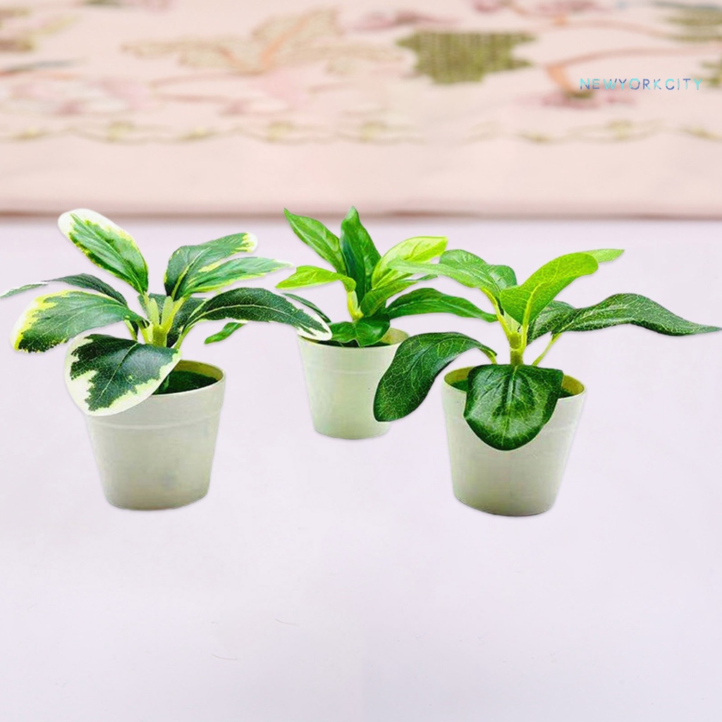 Chậu Cây Cảnh Nhân Tạo Bằng Nhựa Sống Động Như Thật Dùng Trang Trí Nhà Cửa