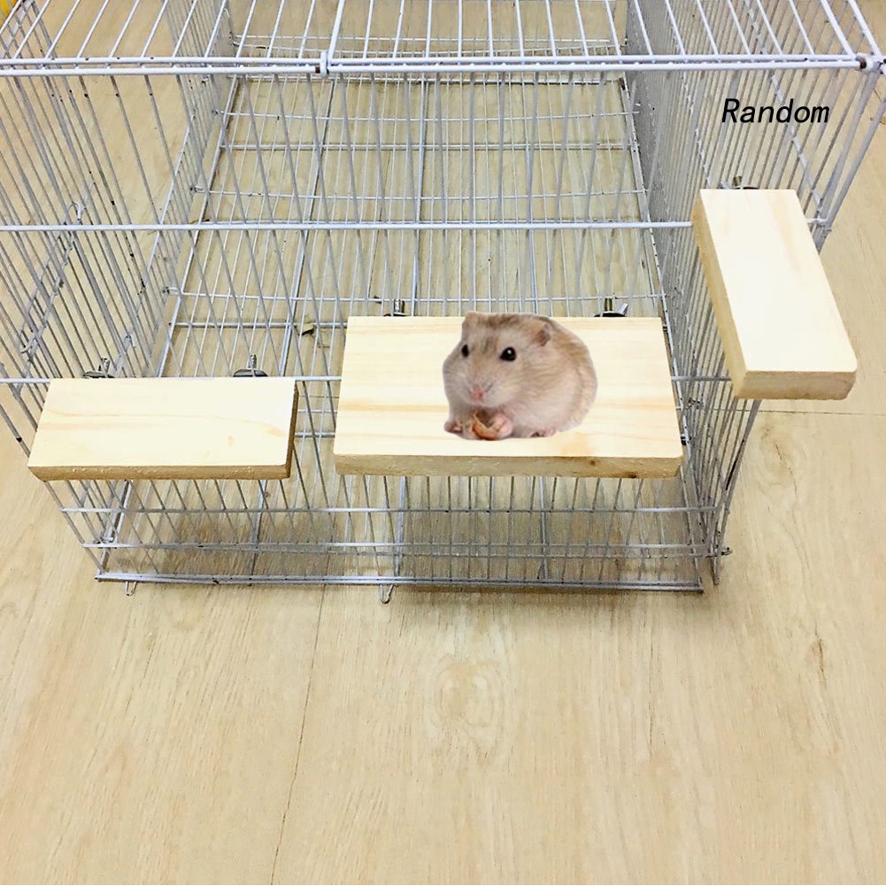 Giá Đứng Bằng Gỗ Cho Chim Vẹt