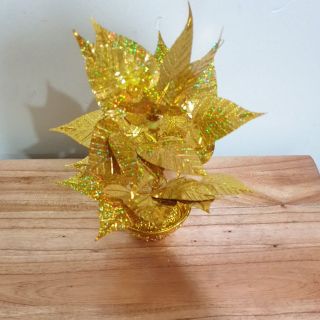 Cây lá bồ đề tài lộc