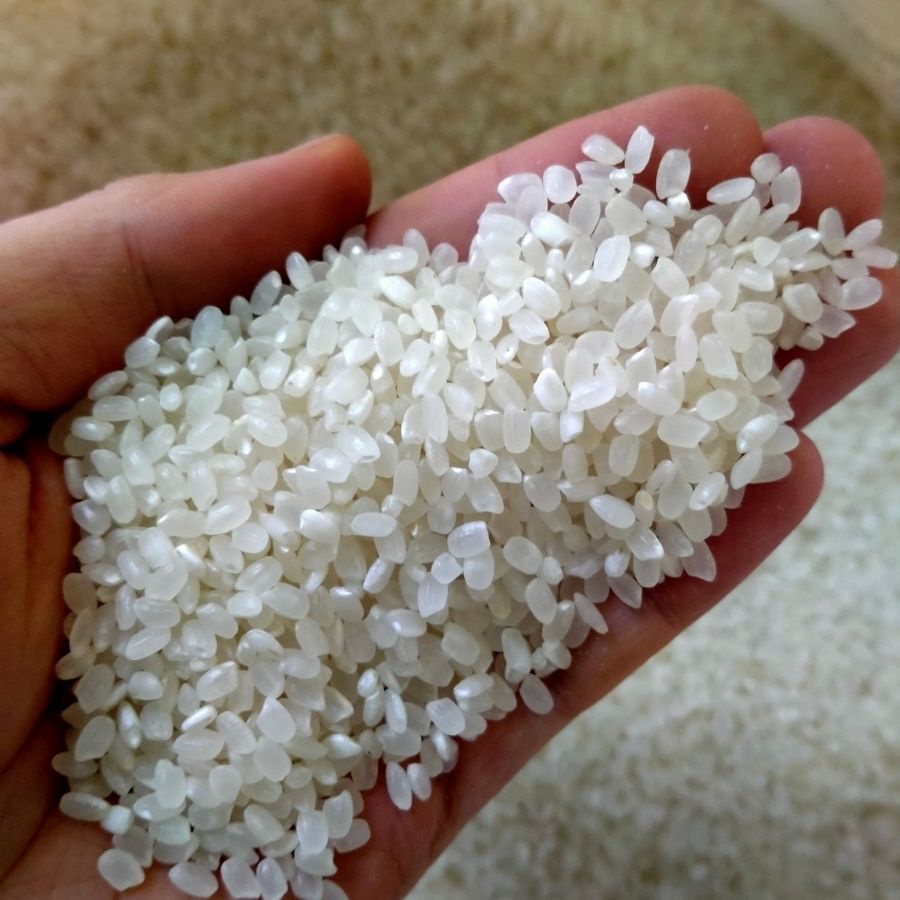 1Kg Gạo Nhật Japonica Dẻo Mềm Ngọt Cơm – Gạo Làm Sushi
