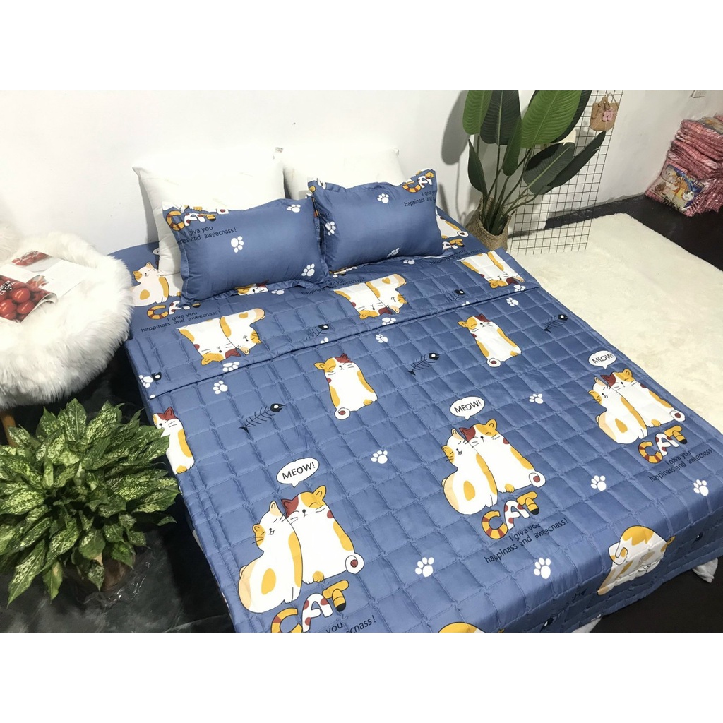 Sét 5 món chăn ga gối chăn hè trần bông cotton poly