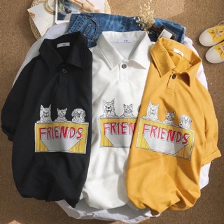 Polo mèo friends (có bán sỉ)