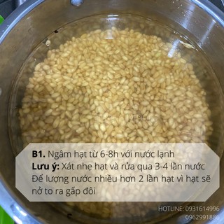 01KG CỎ LÚA MẠCH NHẬP KHẨU ÚC - DATE MỚI