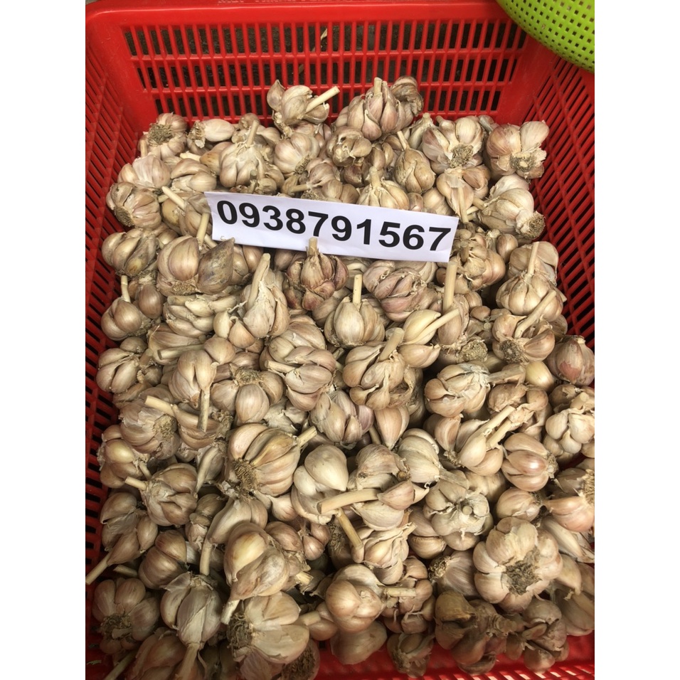 500gram tỏi Bắc chính gốc