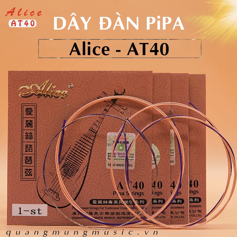 Dây Đàn Tỳ Bà VN - Bộ 4 Dây TQ (pipa) Chất Lượng