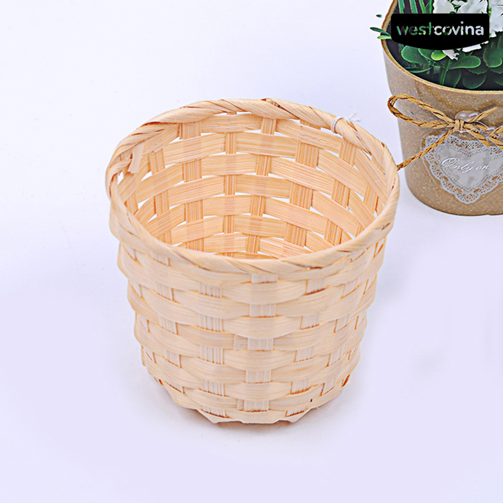 STURDY Bộ 50 Chậu Nhựa Trồng Cây Trang Trí