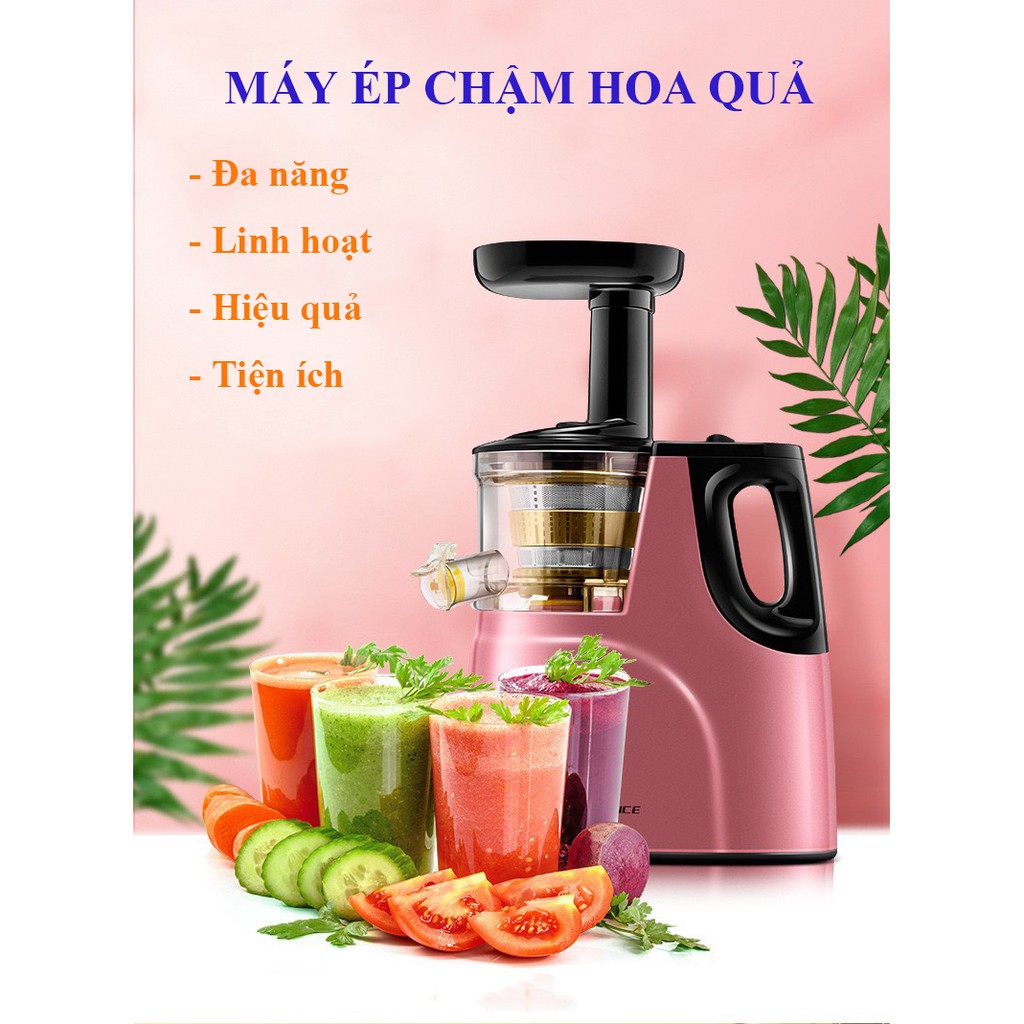 MÁY ÉP CHẬM HOA QUẢ, TRÁI CÂY, RAU CỦ, ĐẬU NÀNH CHO GIA ĐÌNH - CÔNG SUẤT 150W - ĐA NĂNG (1634SP)